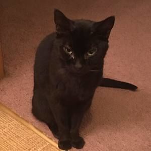 Meet your Posher, Misty